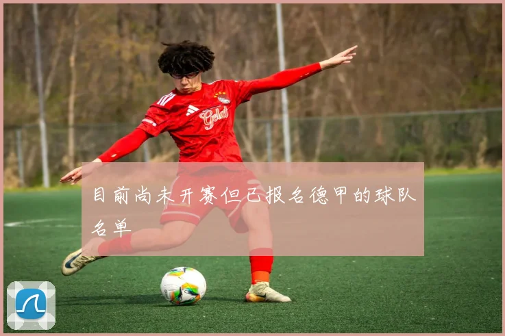 目前尚未开赛但已报名德甲的球队名单