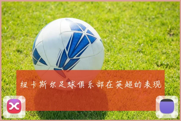 纽卡斯尔足球俱乐部在英超的表现