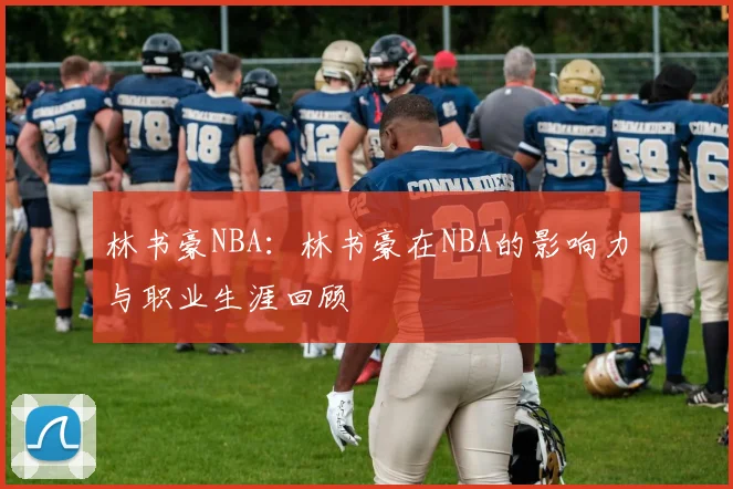林书豪NBA：林书豪在NBA的影响力与职业生涯回顾